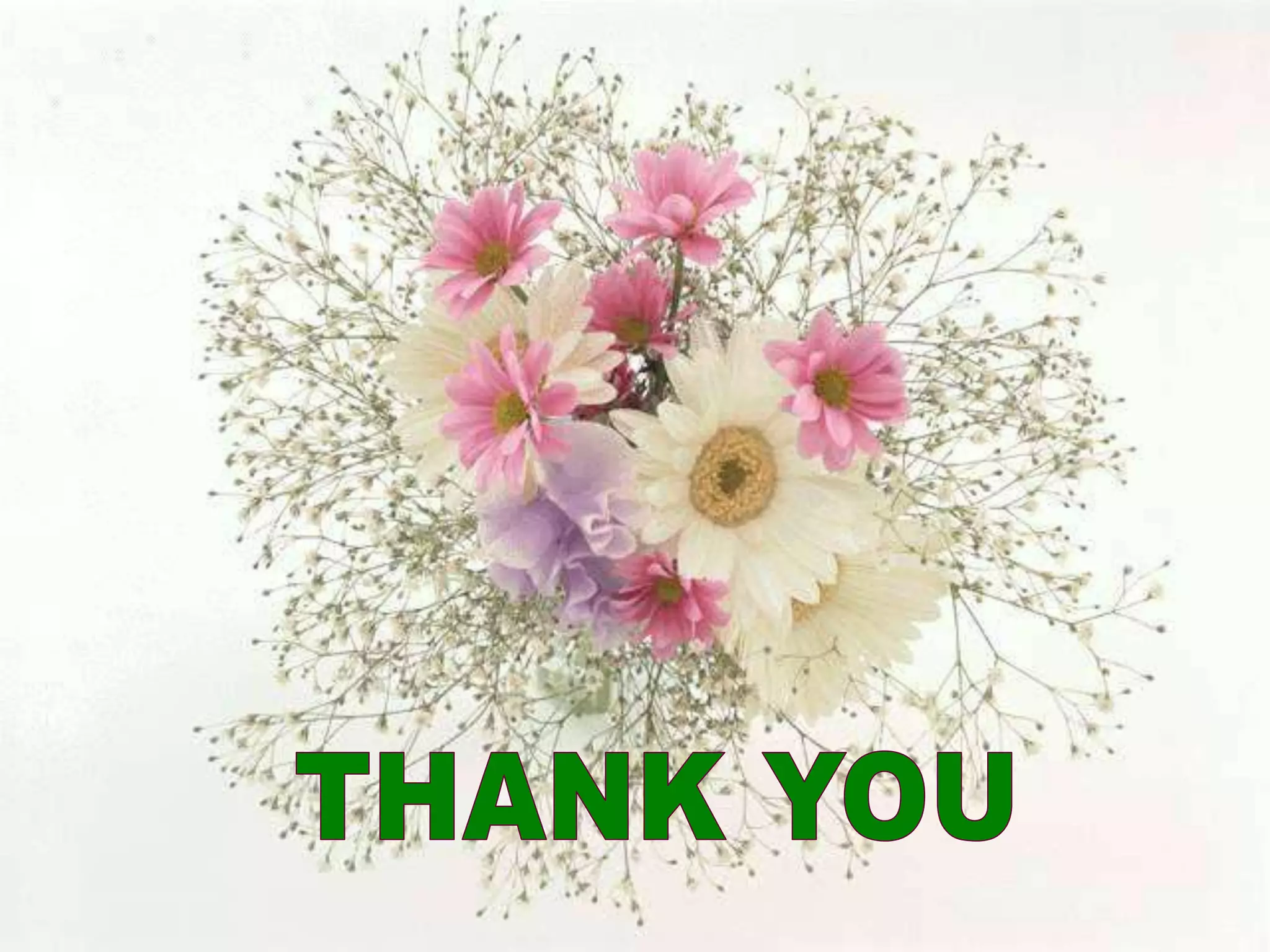 Steps in ffs A Lecture By Mr.Allah Dad Khan Visiting Professor the university of Agriculture Peshawar