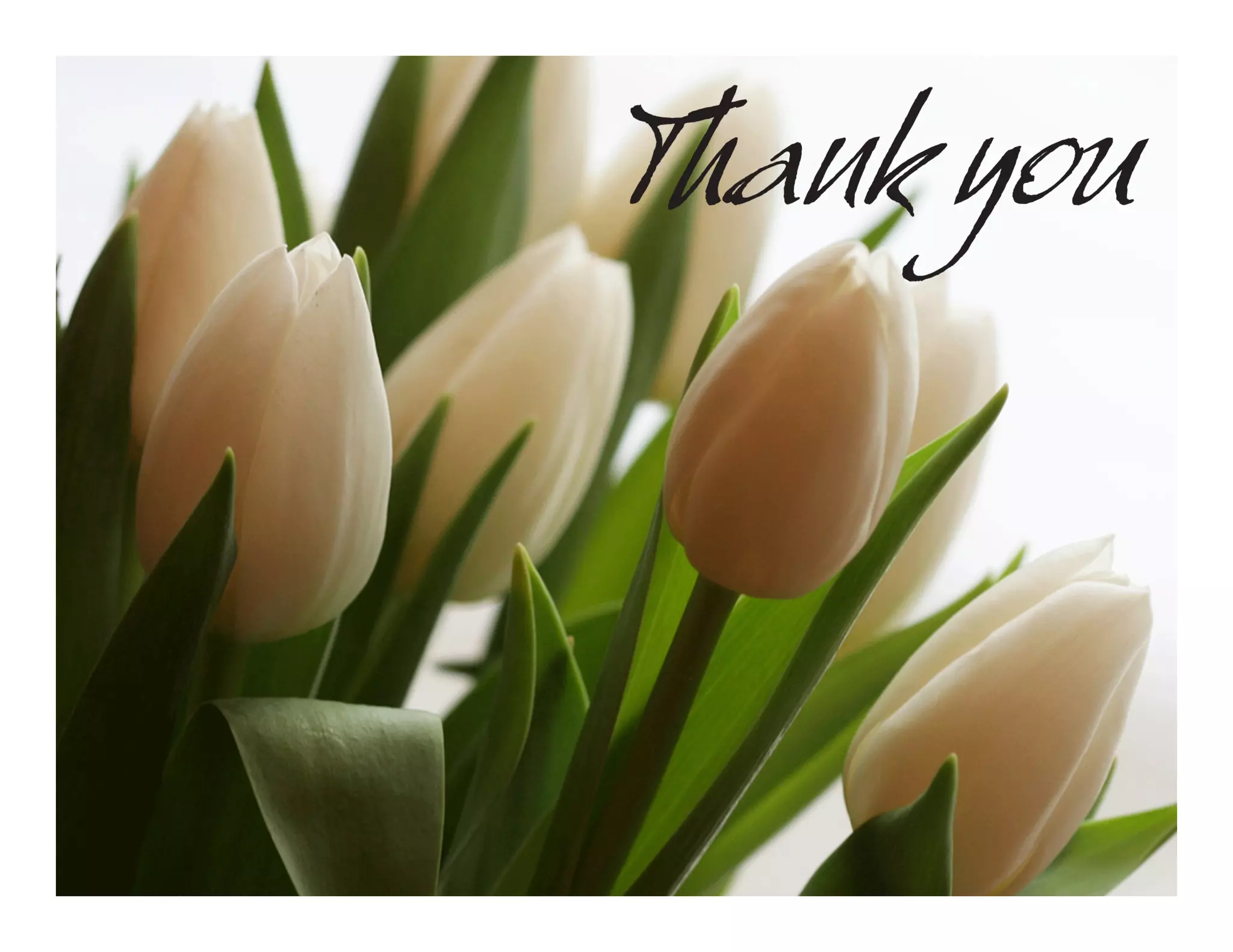 Steps in nursing process