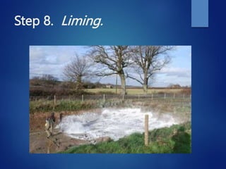 Step 8. Liming.
 