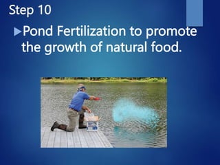 Step 10
Pond Fertilization to promote
the growth of natural food.
 
