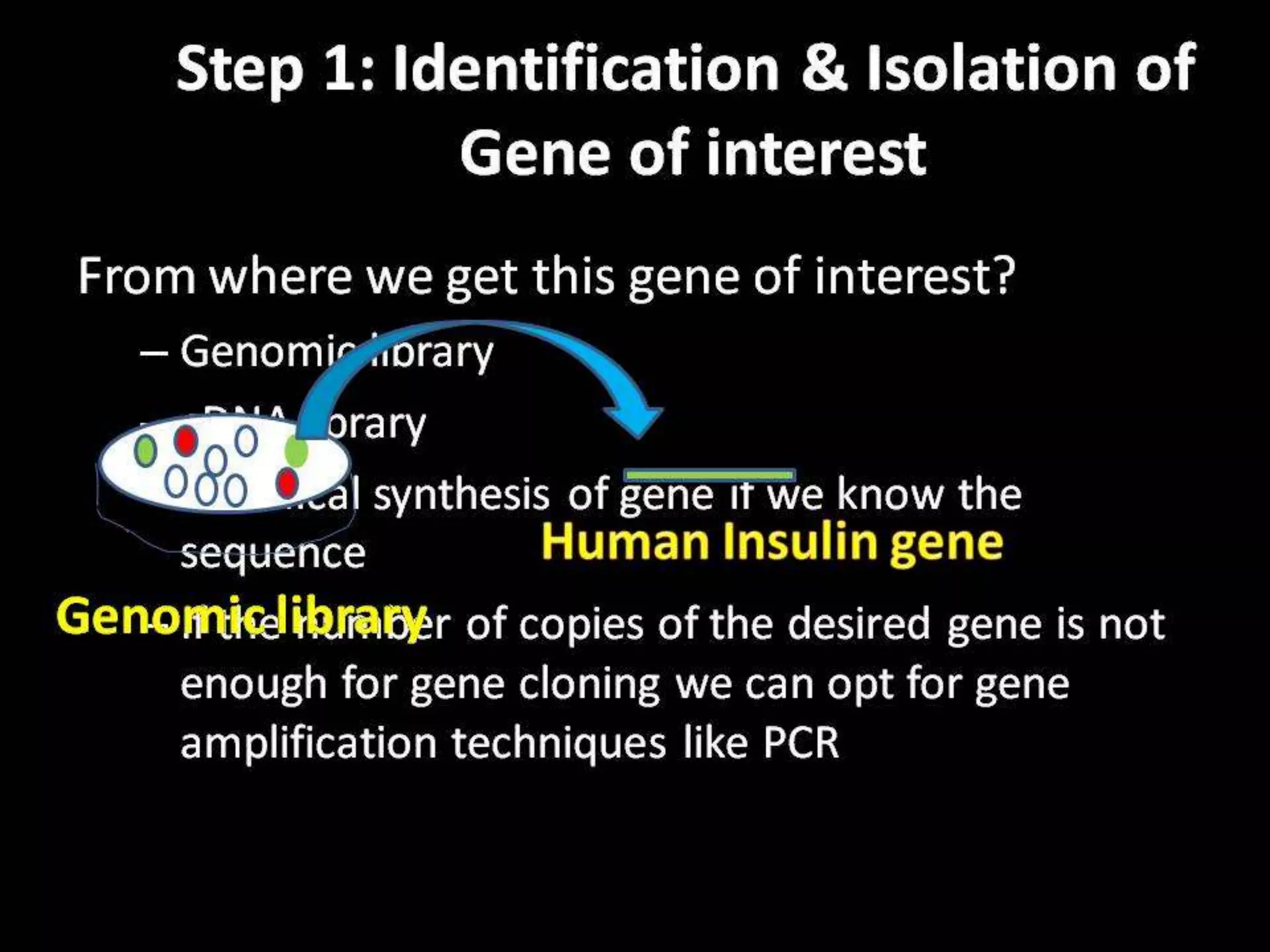 Steps in Recombinant DNA Technology or rDNA technology
