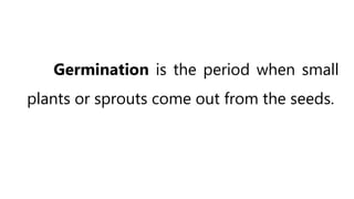Germination is the period when small
plants or sprouts come out from the seeds.
 