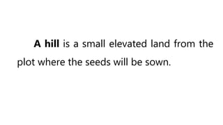A hill is a small elevated land from the
plot where the seeds will be sown.
 
