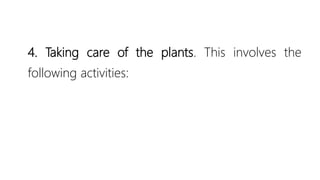 4. Taking care of the plants. This involves the
following activities:
 