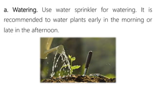 a. Watering. Use water sprinkler for watering. It is
recommended to water plants early in the morning or
late in the afternoon.
 