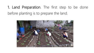 1. Land Preparation. The first step to be done
before planting is to prepare the land.
 