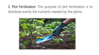 2. Plot Fertilization. The purpose of plot fertilization is to
distribute evenly the nutrients needed by the plants.
 