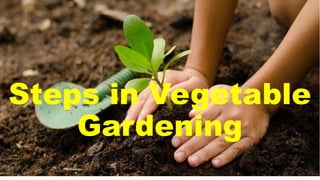 Steps in Vegetable
Gardening
 