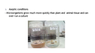 3) Aseptic conditions
- Microorganisms grow much more quickly than plant and animal tissue and can
over run a culture
 
