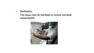 2) Sterilization
- This tissue must be sterilized to remove microbial
contamination
 