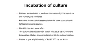 Incubation of culture
● Cultures are incubated in a culture room where light, temperature
and humidity are controlled.
● For some tissues dark is essential while for some both dark and
light conditions are required.
● Humidity has also some effect.
● The cultures are incubated on culture rack at 25-28 oC constant
temperature. Culture tubes are placed at 35-40o inclined position.
● Culture to give a light intensity of 4-10 X 103 lux for 16 hrs.
 