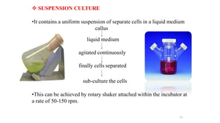  SUSPENSION CULTURE
•It contains a uniform suspension of separate cells in a liquid medium
callus
liquid medium
agitated continuously
finally cells separated
sub-culture the cells
•This can be achieved by rotary shaker attached within the incubator at
a rate of 50-150 rpm.
23
 