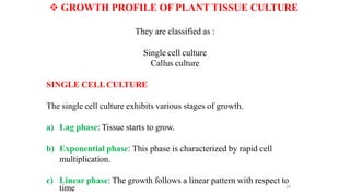  GROWTH PROFILE OF PLANT TISSUE CULTURE
They are classified as :
Single cell culture
Callus culture
SINGLE CELLCULTURE
The single cell culture exhibits various stages of growth.
a) Lag phase: Tissue starts to grow.
b) Exponential phase: This phase is characterized by rapid cell
multiplication.
c) Linear phase: The growth follows a linear pattern with respect to
time 24
 