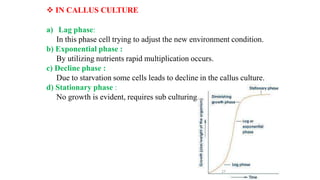  IN CALLUS CULTURE
a) Lag phase:
In this phase cell trying to adjust the new environment condition.
b) Exponential phase :
By utilizing nutrients rapid multiplication occurs.
c) Decline phase :
Due to starvation some cells leads to decline in the callus culture.
d) Stationary phase :
No growth is evident, requires sub culturing.
27
 