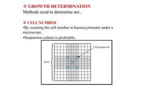  GROWTH DETERMINATION
Methods used to determine are..
 CELLNUMBER
•By counting the cell number in haemocytometer under a
microscope.
•Suspension culture is preferable.
28
 