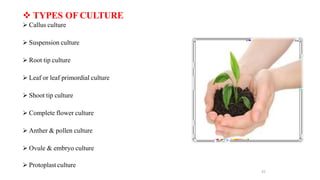  TYPES OF CULTURE
 Callus culture
 Suspension culture
 Root tip culture
 Leaf or leaf primordial culture
 Shoot tip culture
 Complete flower culture
 Anther & pollen culture
 Ovule & embryo culture
 Protoplast culture
31
 