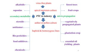 35
alkaloids
virus-free plants
forest trees
saponins
secondary metabolite
apical meristem culture fruit crops
PTC in industry micro propagation
steroids
anther or pollen culture
vegetatively
propagated plants
antitumor
haploid & homozygous lines
plantation crop
Bio pesticides
food additives essential oil
yielding plants
chemicals
 