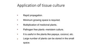 Application of tissue culture
●
●
Rapid propagation.
Minimum growing space is required.
● Multiplication of medicinal plants.
●
●
●
Pathogen free plants -meristem culture.
It is useful in the plants like papaya, coconut, etc.
Large number of plants can be stored in the small
space.
 