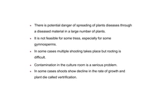 ● There is potential danger of spreading of plants diseases through
a diseased material in a large number of plants.
● It is not feasible for some tress, especially for some
gymnosperms.
● In some cases multiple shooting takes place but rooting is
difficult.
● Contamination in the culture room is a serious problem.
● In some cases shoots show decline in the rate of growth and
plant die called vertrification.
 