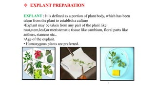  EXPLANT PREPARATION
EXPLANT : It is defined as a portion of plant body, which has been
taken from the plant to establish a culture
•Explant may be taken from any part of the plant like
root,stem,leaf,or meristematic tissue like cambium, floral parts like
anthers, stamens etc..
•Age of the explant.
• Homozygous plants are preferred.
7
 