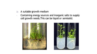 2) A suitable growth medium
- Containing energy sources and inorganic salts to supply
cell growth needs.This can be liquid or semisolid.
 