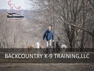 BACKCOUNTRY K-9 TRAINING,LLC
 