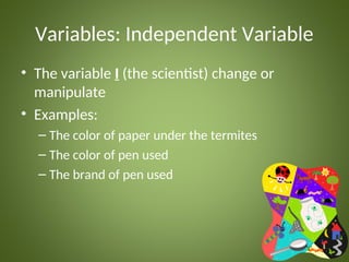 steps of scientific method in science 7 lessons | PPT