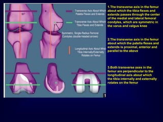 2.The transverse axis in the femur
about which the patella ﬂexes and
extends is proximal, anterior and
parallel to the above
1.The transverse axis in the femur
about which the tibia ﬂexes and
extends passes through the center
of the medial and lateral femoral
condyles, which are symmetric in
the varus and valgus knee
3.Both transverse axes in the
femur are perpendicular to the
longitudinal axis about which
the tibia internally and externally
rotates on the femur
 