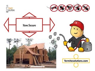 ItemSecure
Termitesolutions.com
 
