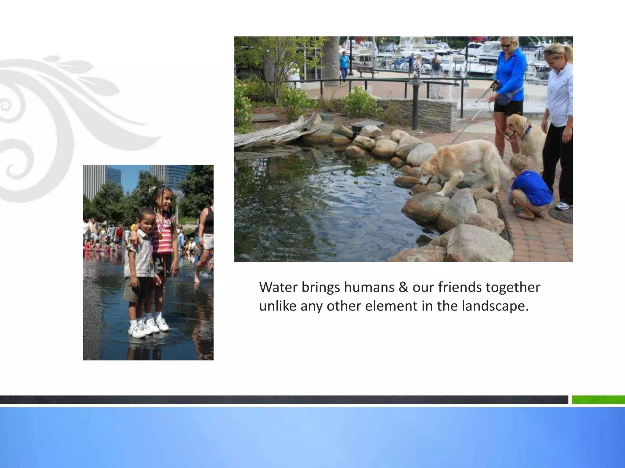 Water brings humans & our friends together
unlike any other element in the landscape.
 