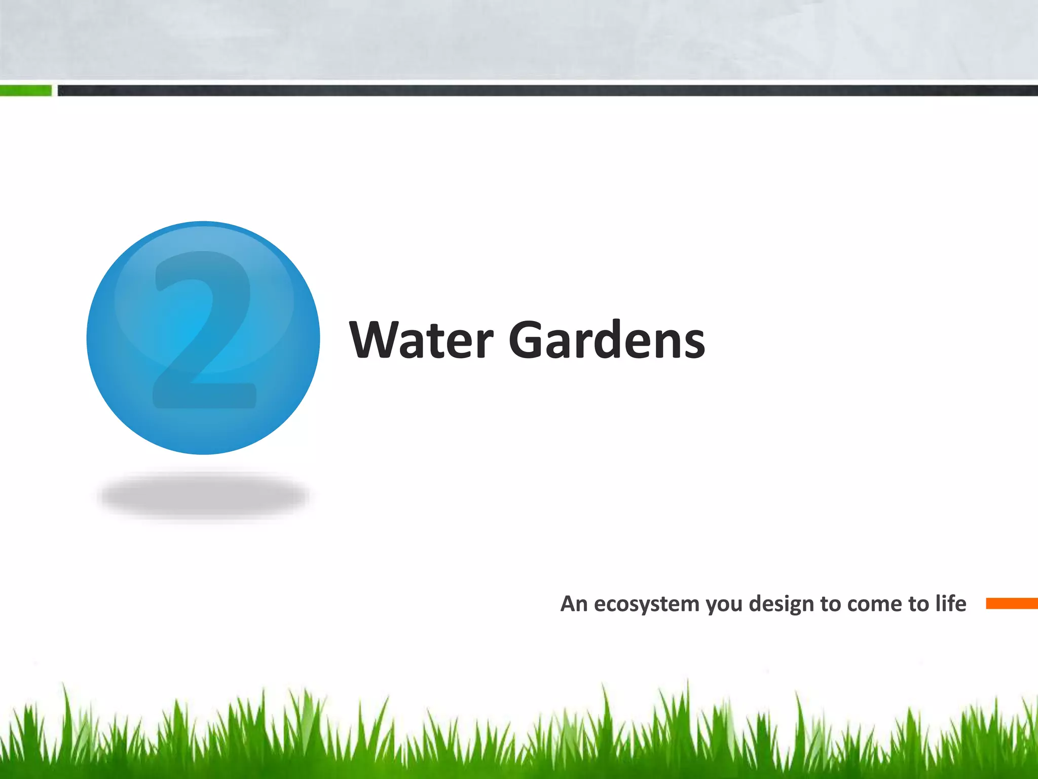 Water Gardens
An ecosystem you design to come to life
 