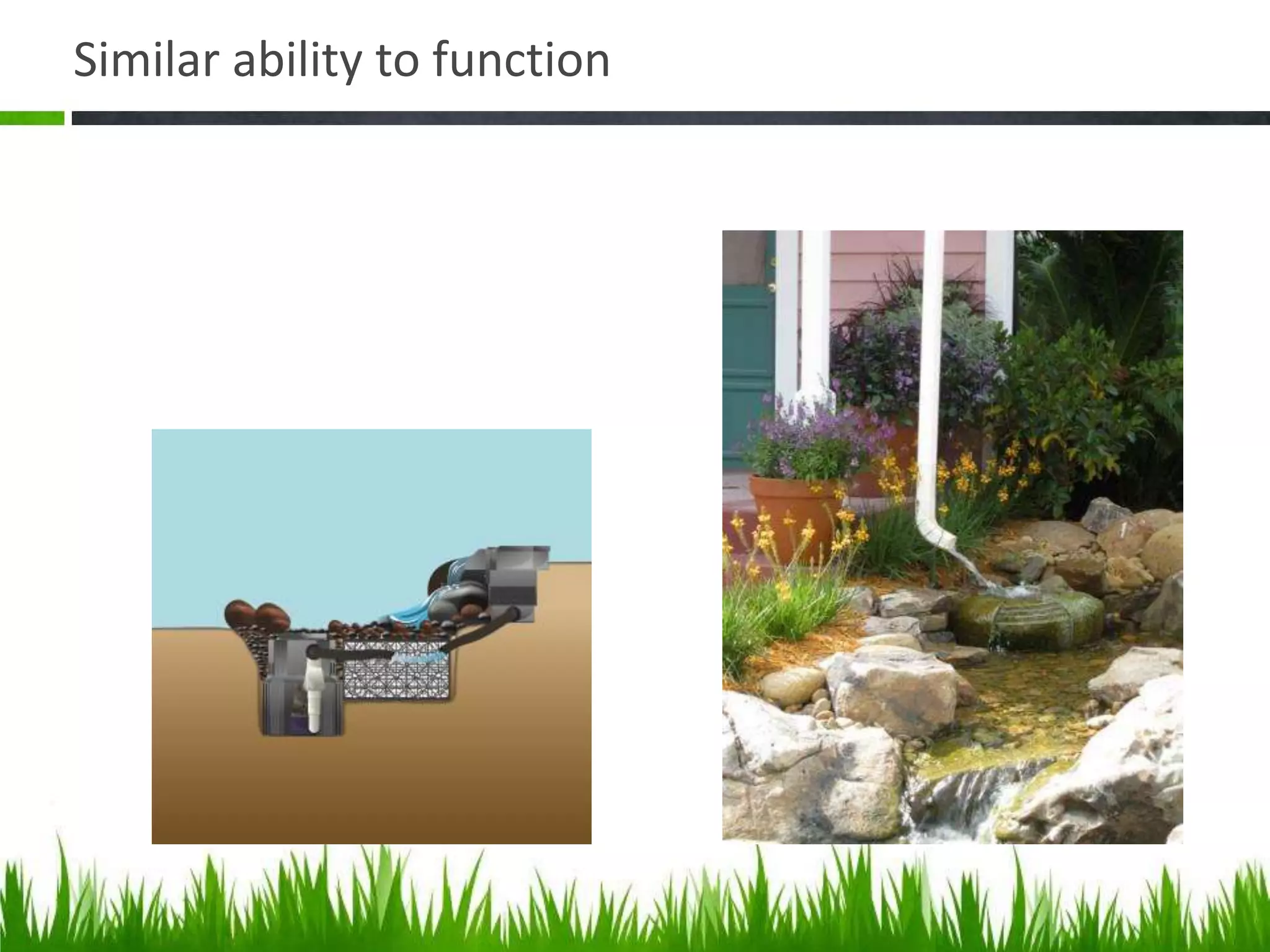 Similar ability to function
 