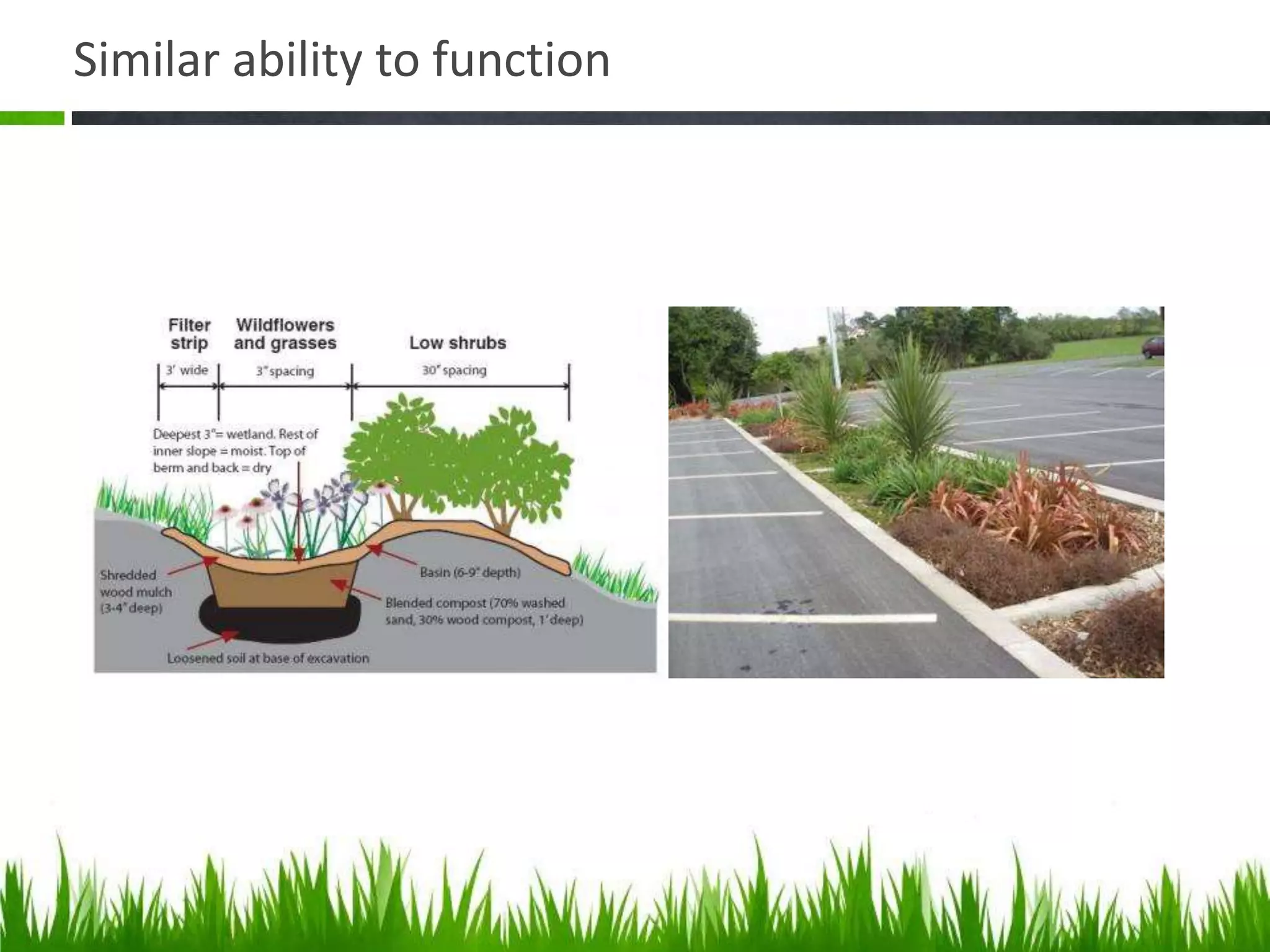 Similar ability to function
 