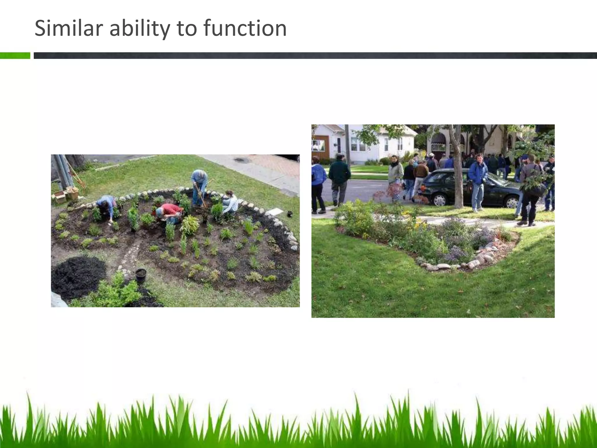 Similar ability to function
 