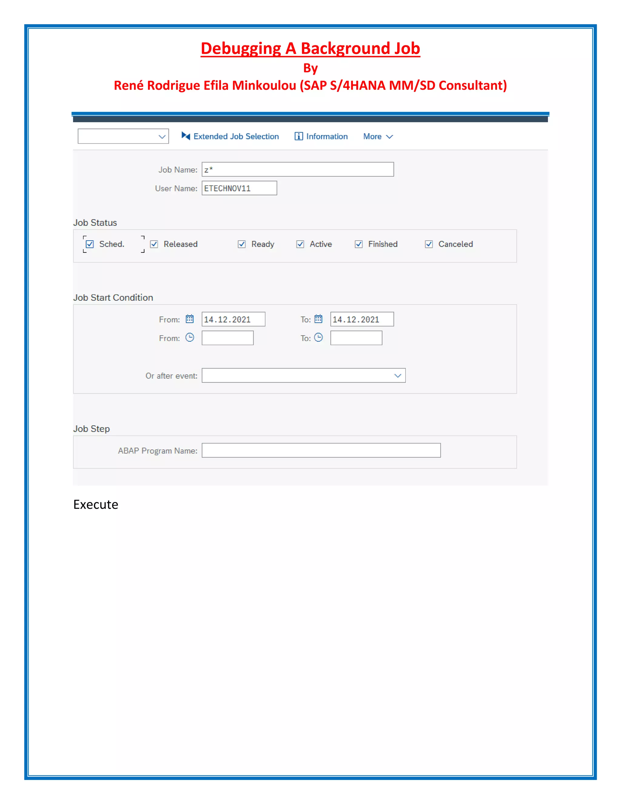 Debugging A Background Job
By
René Rodrigue Efila Minkoulou (SAP S/4HANA MM/SD Consultant)
Execute
 