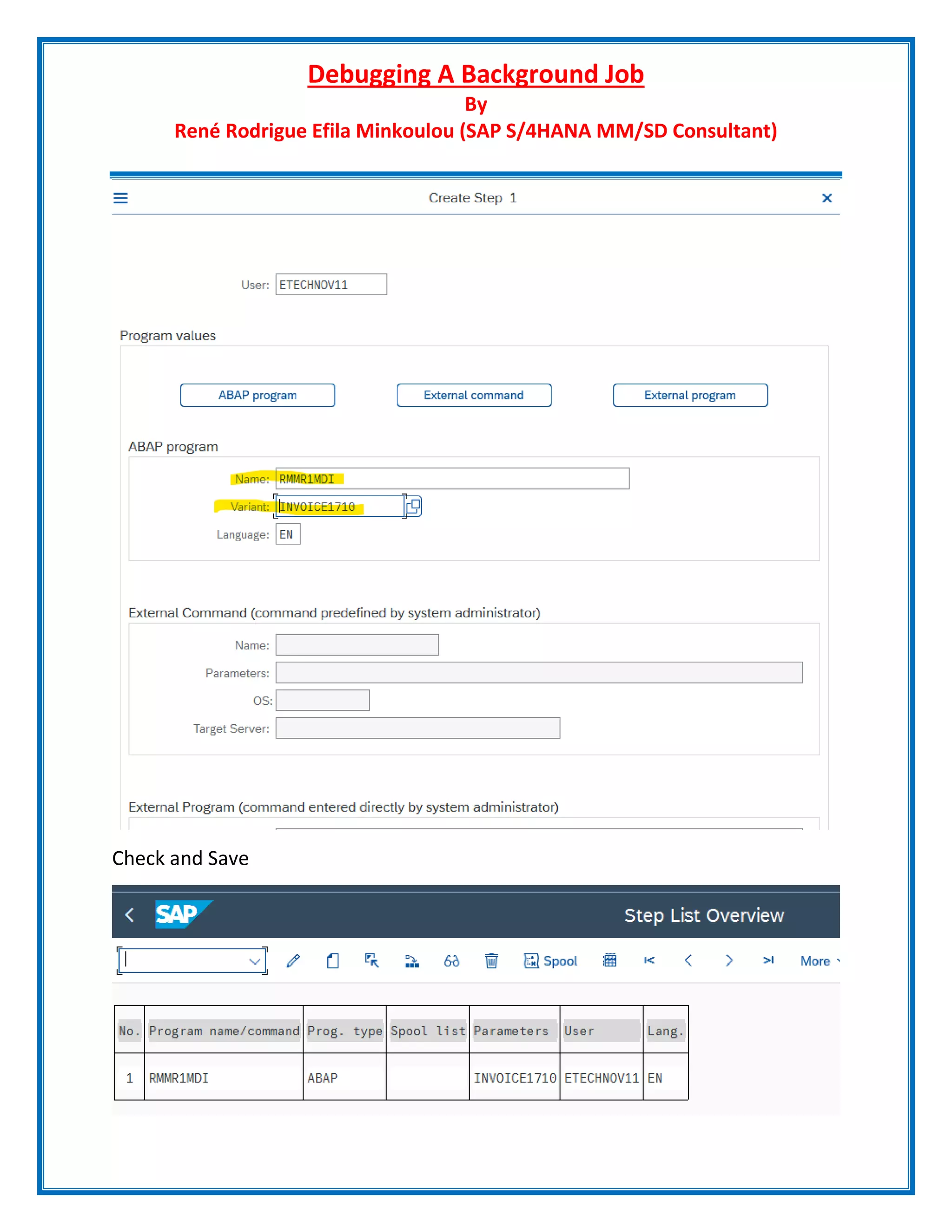 Debugging A Background Job
By
René Rodrigue Efila Minkoulou (SAP S/4HANA MM/SD Consultant)
Check and Save
 