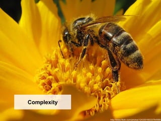 Complexity

             http://www.flickr.com/photos/124330160/23764566/
 