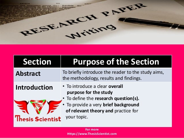 what is essay and how to write it