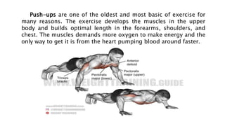 Step test, pull ups, and push-ups | PPT