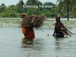 Collecting fire wood