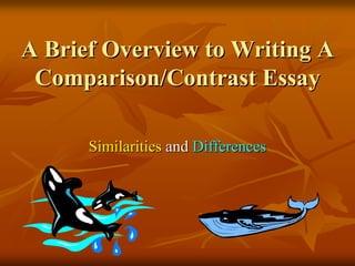 writing a contrast essay