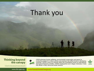 Stepwise approach to Reference Levels REDD+