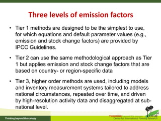 Stepwise approach to Reference Levels REDD+