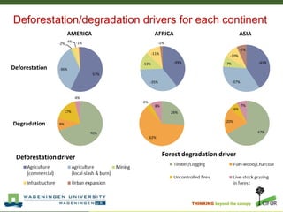 Stepwise approach to Reference Levels REDD+