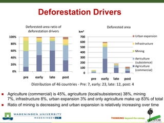 Stepwise approach to Reference Levels REDD+