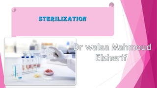 SterilizationSterilization
 
