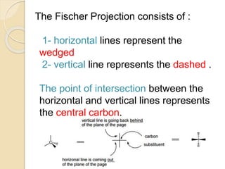 The Fischer Projection consists of :
1- horizontal lines represent the
wedged
2- vertical line represents the dashed .
The point of intersection between the
horizontal and vertical lines represents
the central carbon.
 