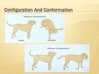Configuration And Conformation
 