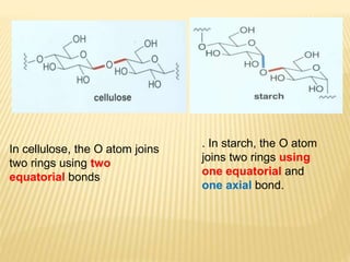 In cellulose, the O atom joins
two rings using two
equatorial bonds
. In starch, the O atom
joins two rings using
one equatorial and
one axial bond.
 