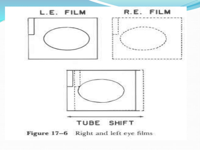 Stereography 1234.pptx | 3-D Graphics | Computer Software and Applications
